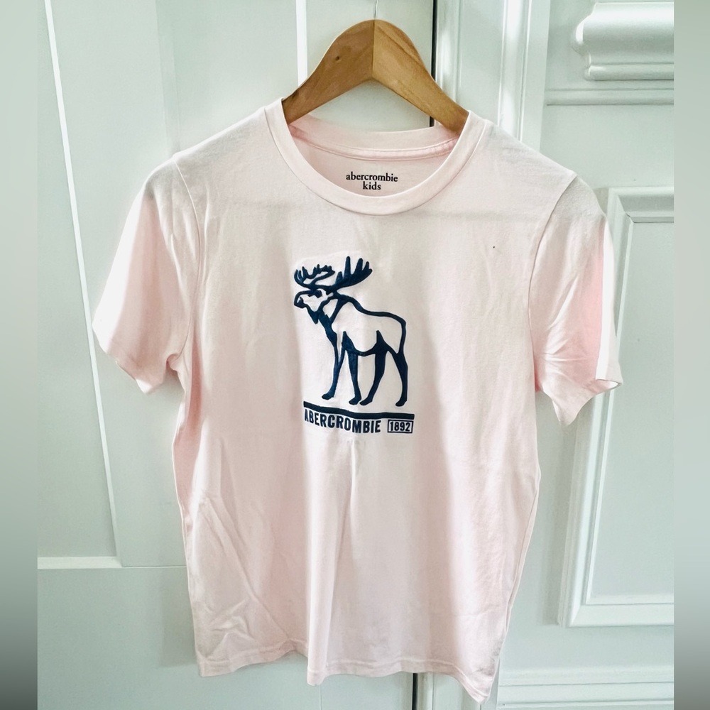 Abercrombie kids Boys Pink Tee Size 13/14